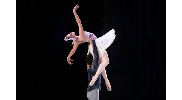 "El lago de los cisnes", ícono de la danza clásica, triunfa en el Palacio Bellas Artes