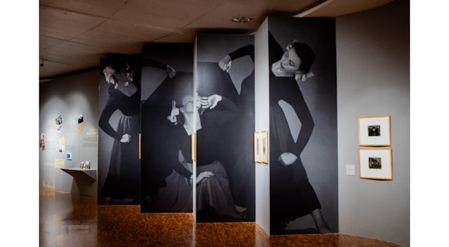 El Museo de Arte Moderno presenta la exposición “Estéticas Revueltas. Una familia de vanguardia”