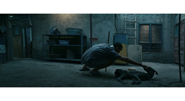Estreno en cines selectos este 19 de septiembre: "Black Dog", la multipremiada película de Guan Hu
