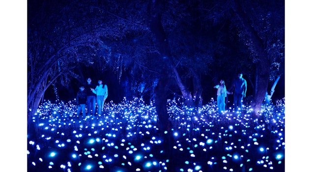 "Light Cycles", la experiencia multisensorial creada por Moment Factory, llega a la Ciudad de México