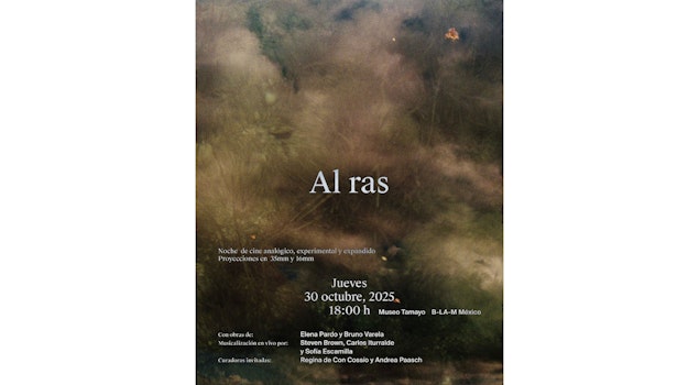 B-LA-M Festival: Programa de Videoarte de Los Ángeles y México – Auditorio del Museo Tamayo