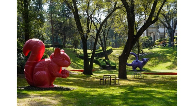 Jardín Hondonada: un nuevo espacio en el Complejo Cultural Los Pinos para explorar la relación entre arte y biodiversidad