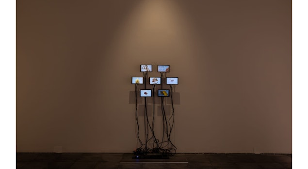 Jorge Bordello explora cuerpo y adherencia en su obra premiada en la XXI Bienal de Fotografía