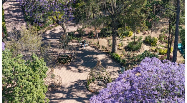 FYJA presenta su edición "México"