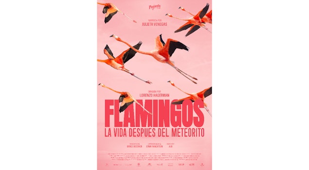 En el Día Mundial de la Naturaleza se anuncia el estreno de "Flamingos"