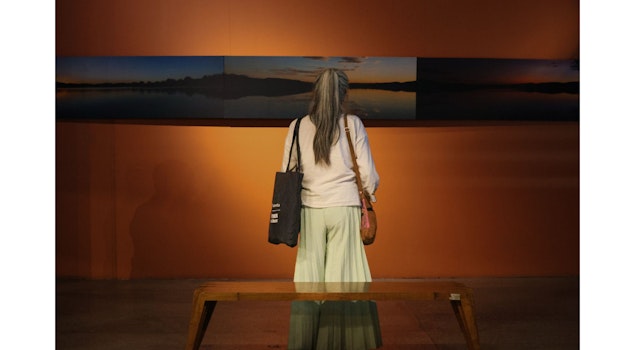 El Centro de Cultura Digital inaugura “Planeta complejo. Diversidad”, exposición de creación electroacústica