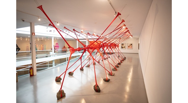 "María Ezcurras. Llíneas de fuga" explora cuerpo, migración y género en el Museo Carrillo Gil