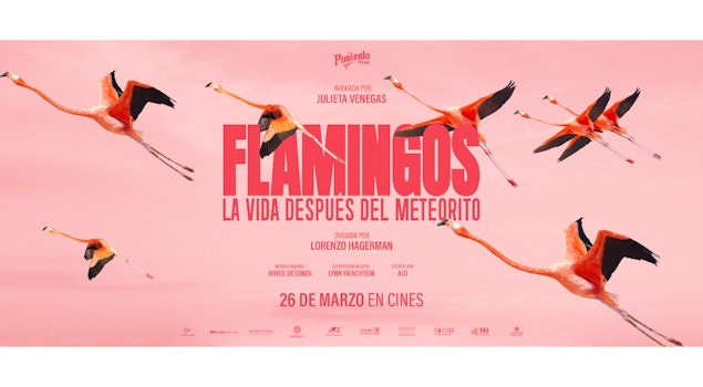 "Flamingos" vuela alto y logra el mejor debut para un documental mexicano tras la pandemia