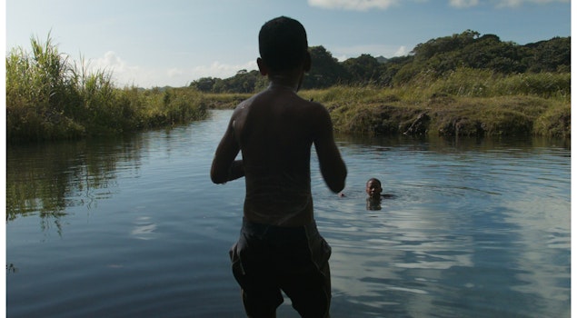 "Agridulce", el documental de Frank Pavich, estrena en el FICG en la sección Son de Cine In-Edit
