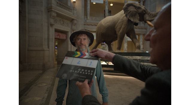 "Elefantes Fantasma", de Werner Herzog, en busca del mamífero más grande del planeta